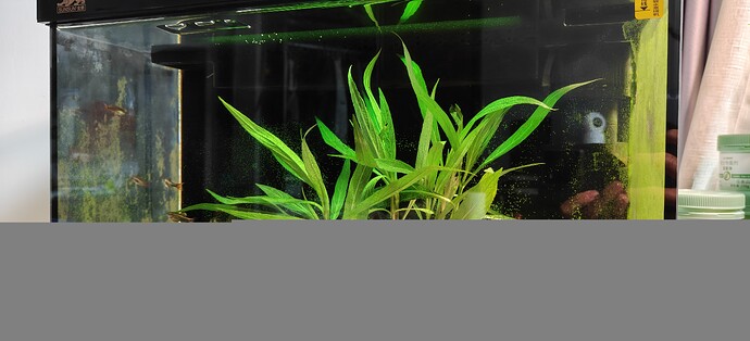 IMG20260803151128